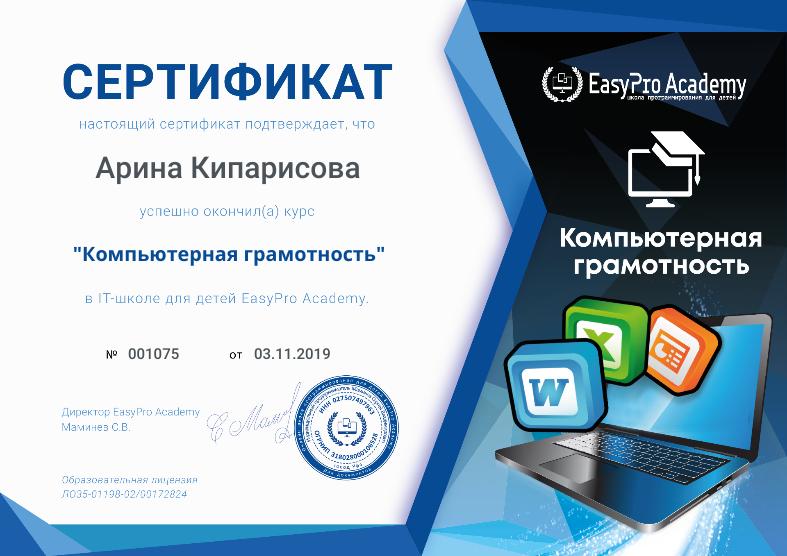 Сертификат "Компьютерная грамотность" в EasyPro Academy